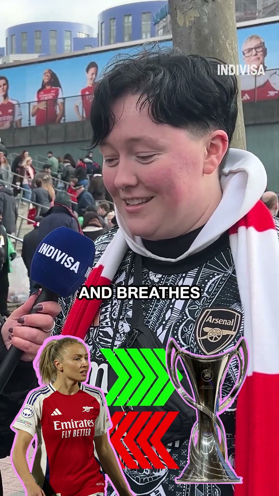 系和环境 系和环境