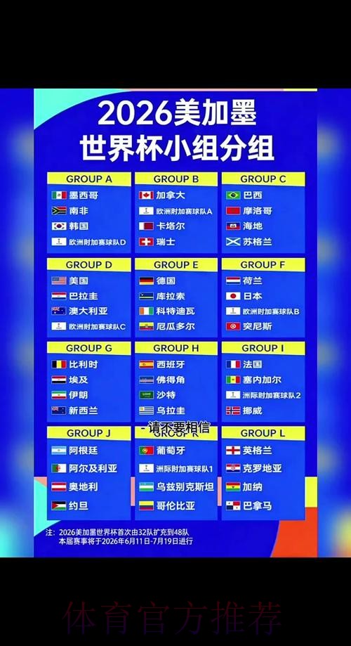 2026世界杯盘口官方网站详解